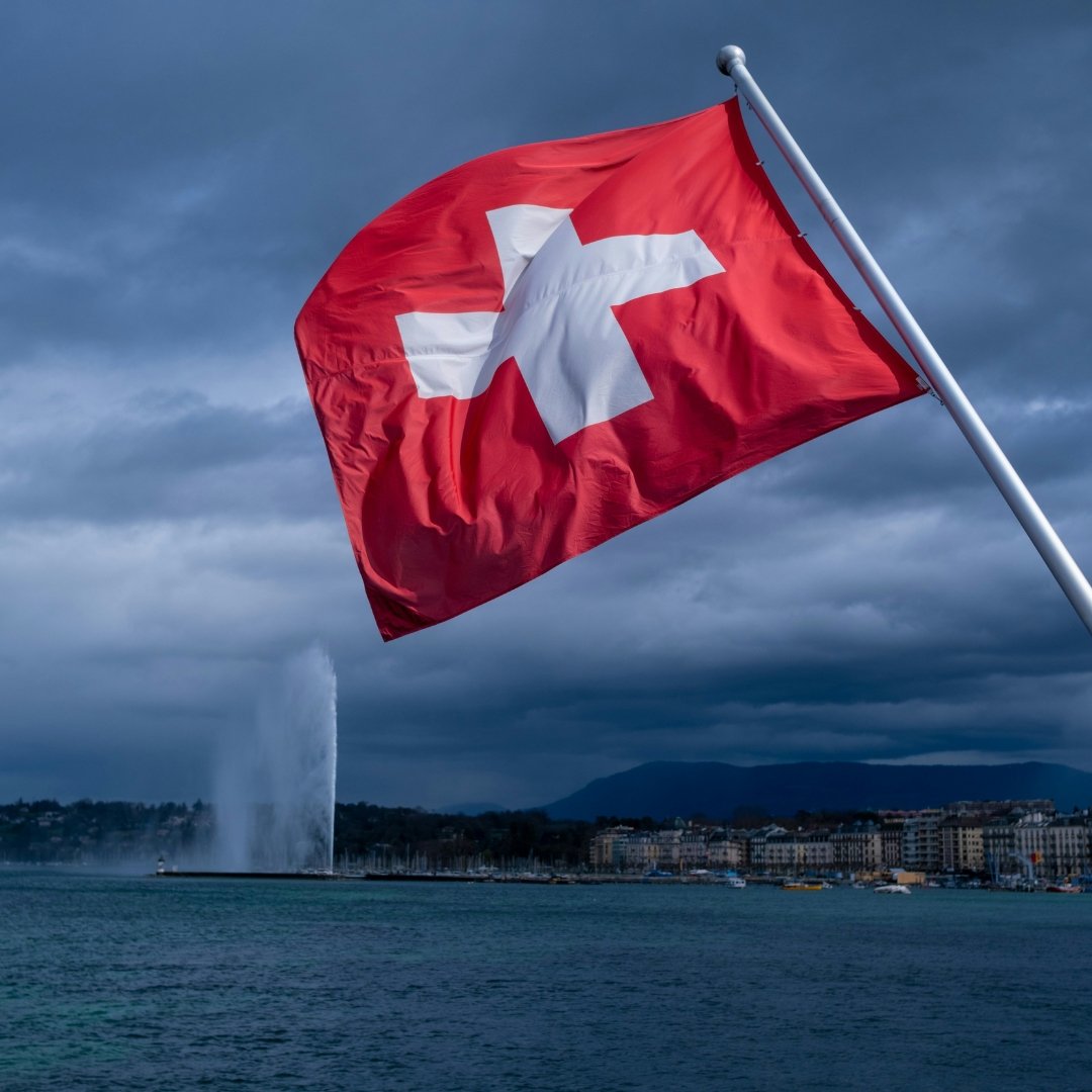 Featured image for The Roundup